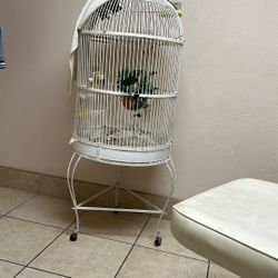 Bird Cage , Parrot