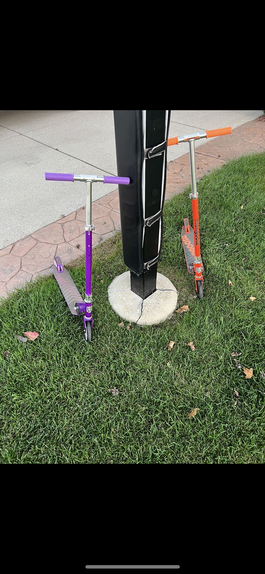 Mongoose Scooters