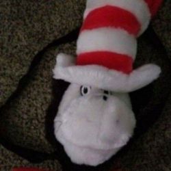 Cat in the Hat