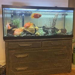 78 Gallon Fish Tank