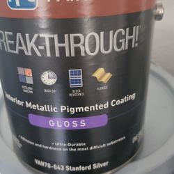Metalic Paint