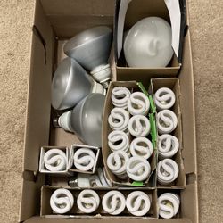 Miscellaneous Assortment of Light Bulbs 