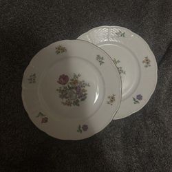 Antique Ceramic Plates