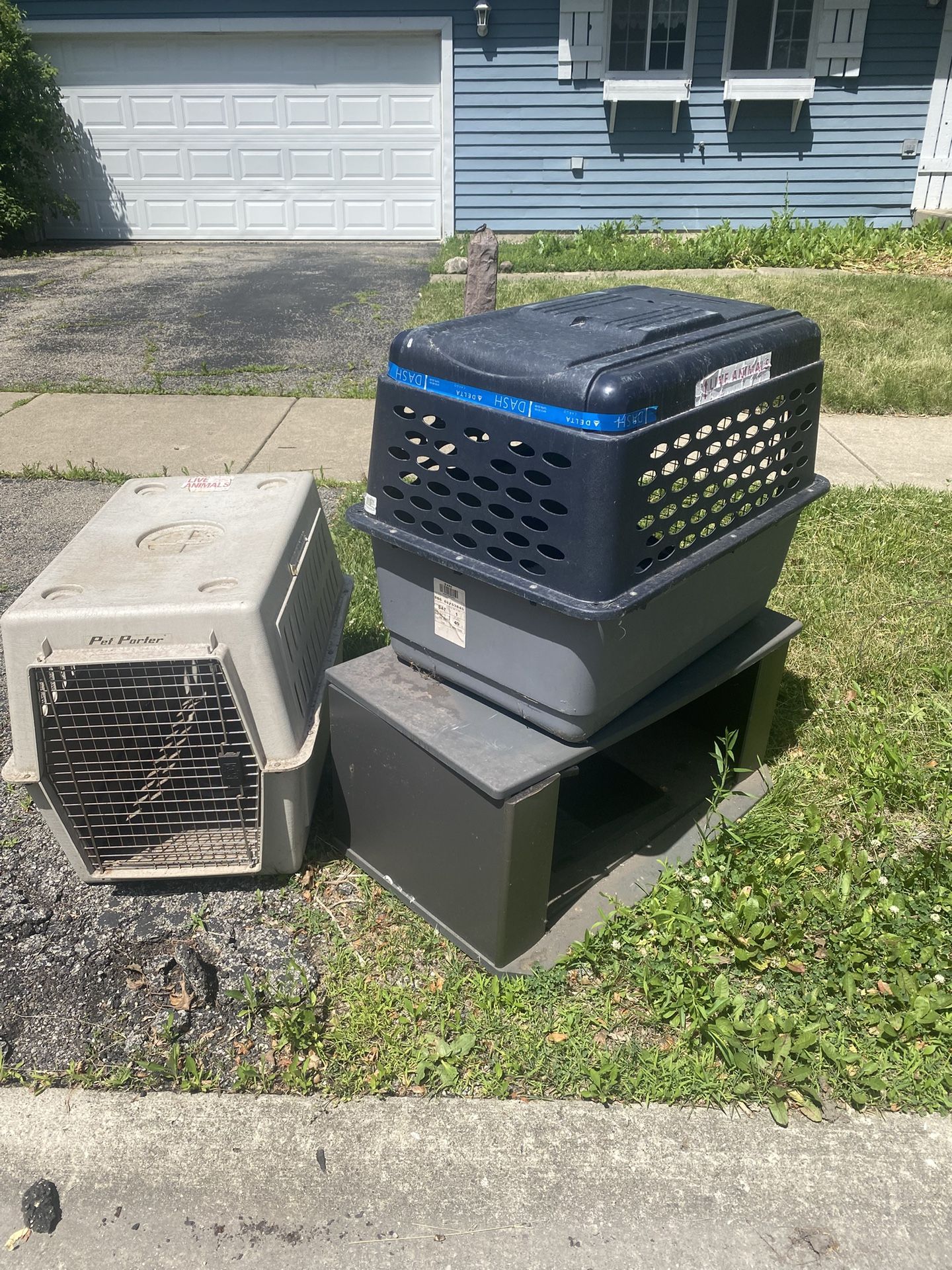 Free Dog Crate