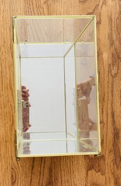 Mirrored Display Case