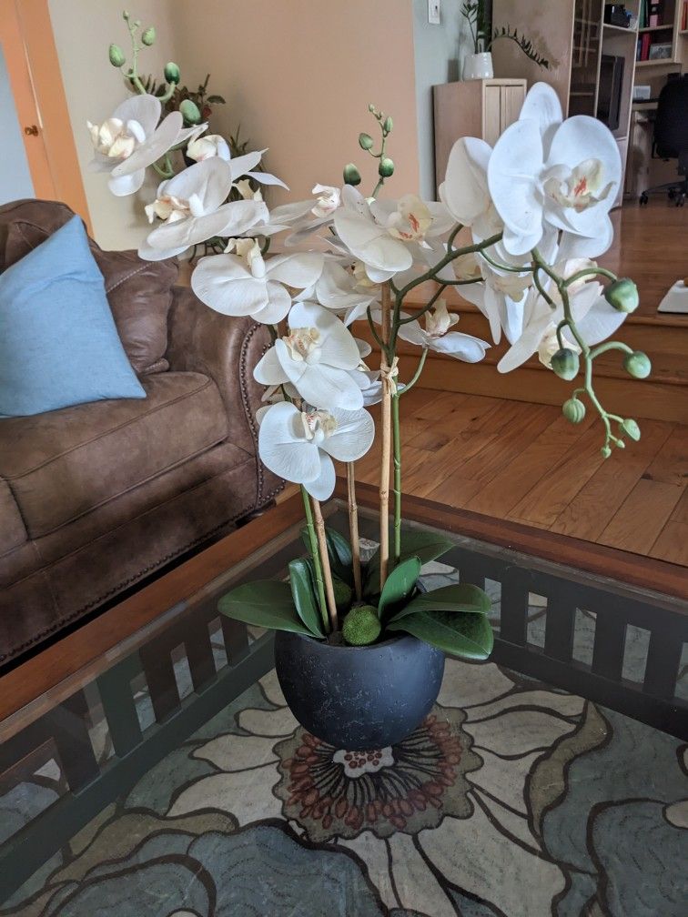 Beautiful Fake Orchid Plant