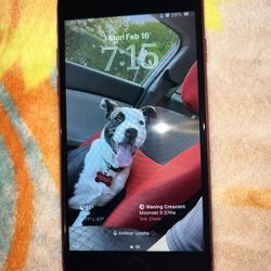 RED PRODUCT iPhone SE (2020)