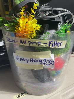 Fish Tank, Pump, Filter and Dexorations