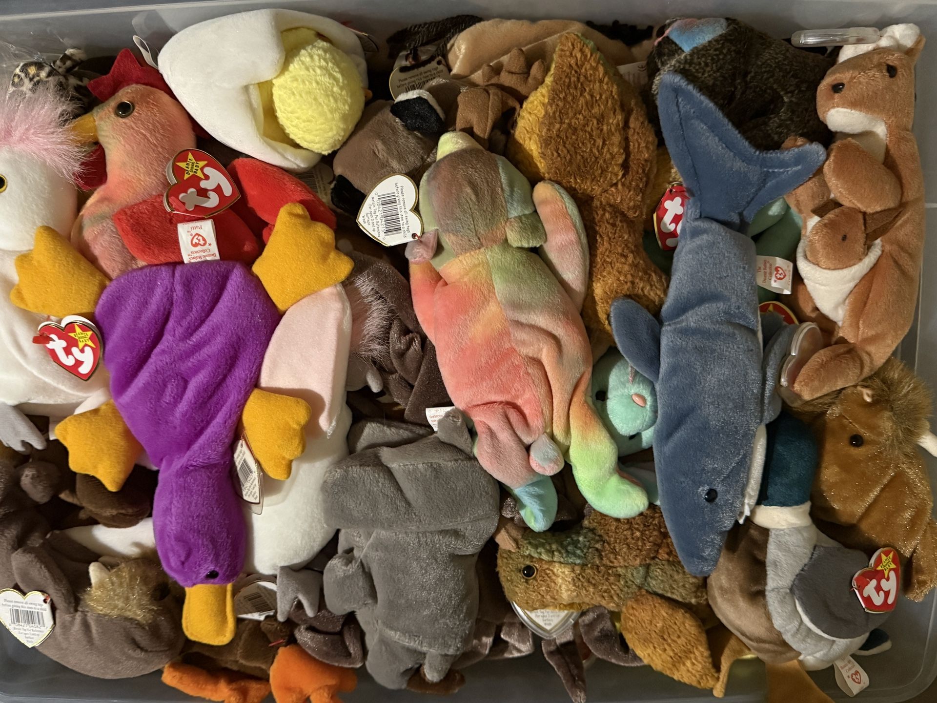 50 Original Beanie Babies