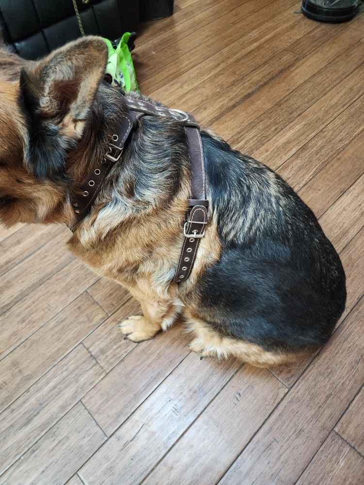  Big Dog Leather Harness Bestia "Aztec
