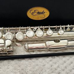 Etude flute with carry case in excellent condition.  $70