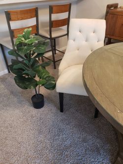 Faux Fig Tree