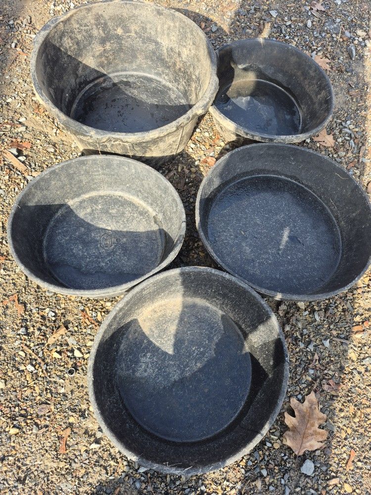 Rubber Animal Bowles.