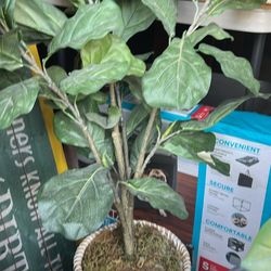 Fake Plant