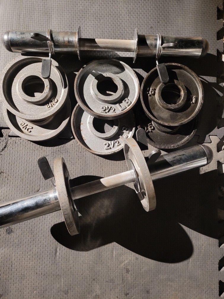 adjustable dumbells Weights