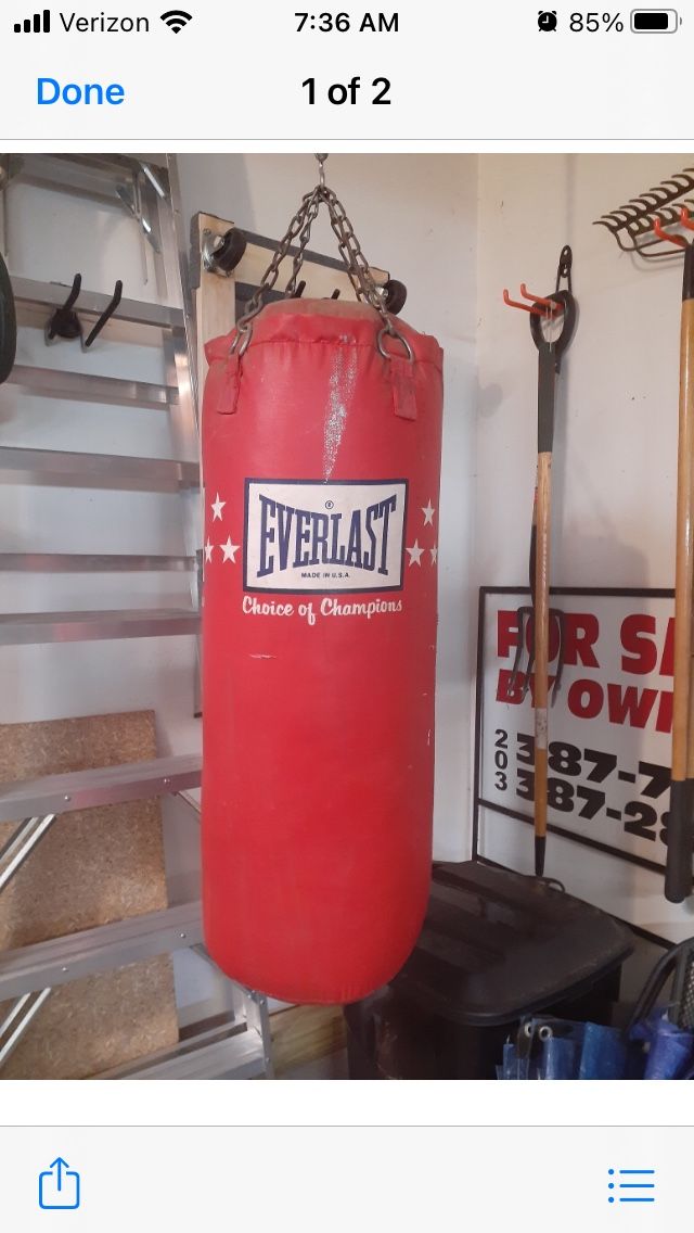 Everlast punching bag