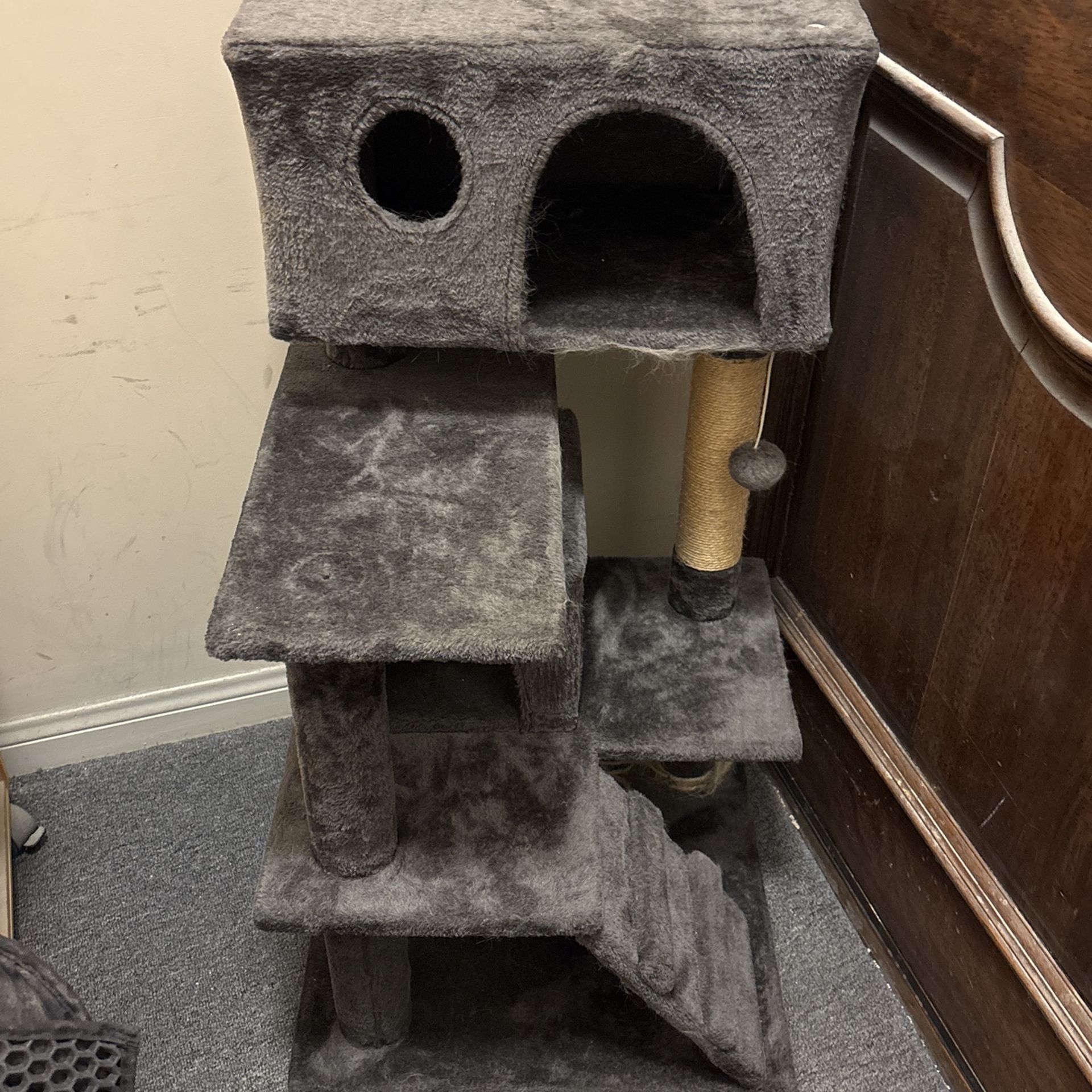 Small Cat Jungle