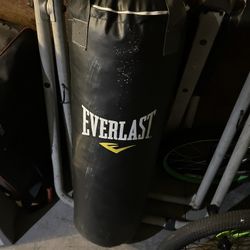 Everlast Punching Bag