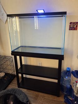 29 gallon tank AND stand