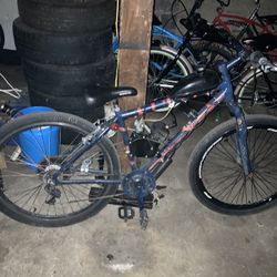 Motorized Bike 29 Inch tire 