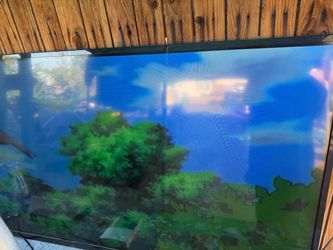 Large Flat Screen TV