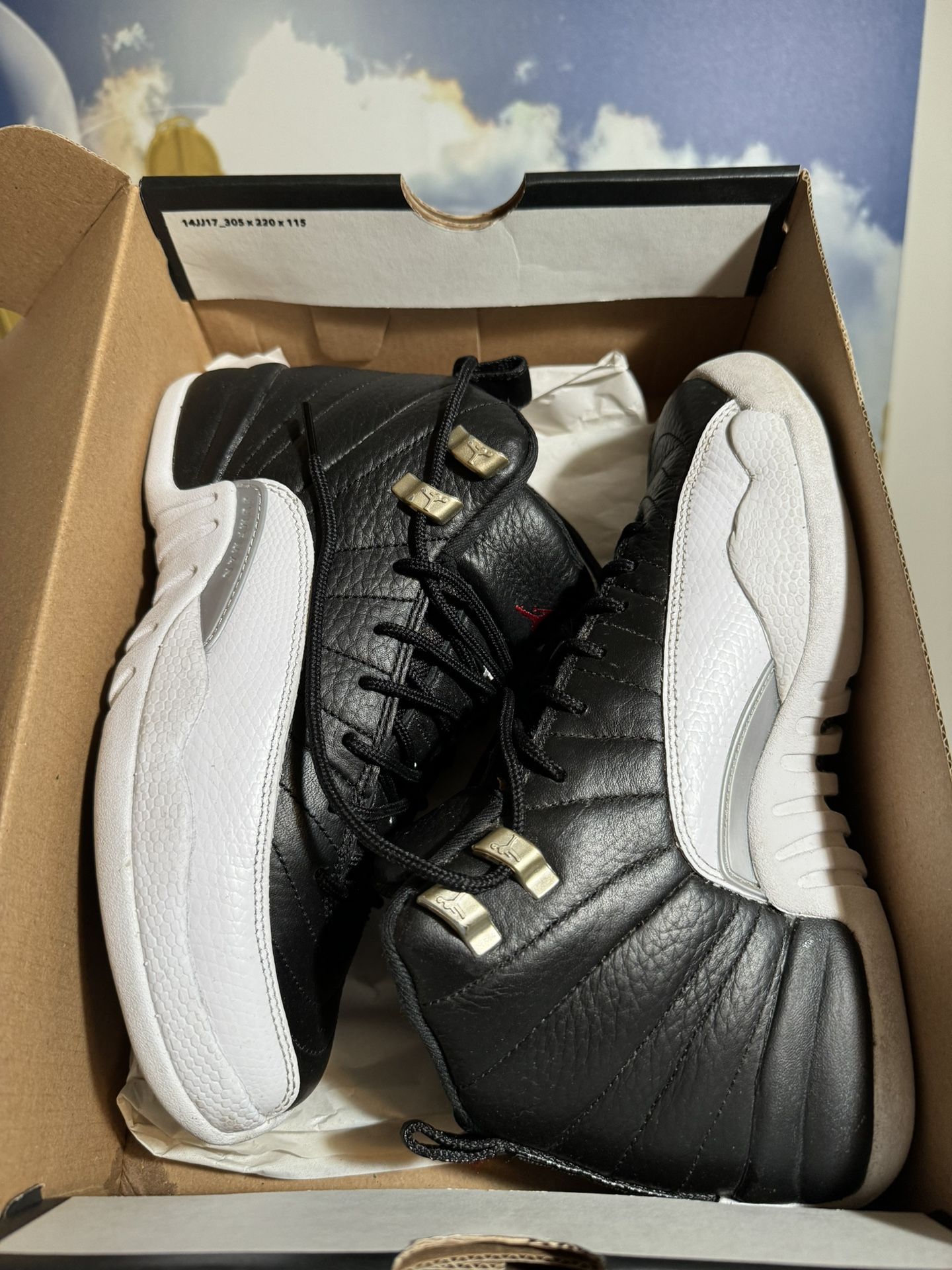 Jordan 12 Size 5y