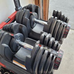 Bowflex Adjustable Dumbbells, Gym Equipment, Weights 