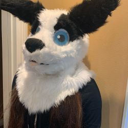 Furry Head For Sell 