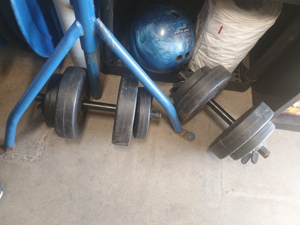 Pair Of 20 Lb Dumbbells