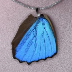 Natural Butterfly 🦋