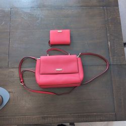 KATE SPADE Newbury Lane Brynlee Satchel Bag And Wallet 
