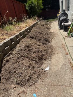 Free dirt