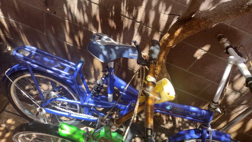 Bycicle Shengle