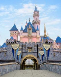 2 Hopper Tickets para diney y disney california adventure
