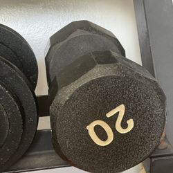 20 Lb Dumbbell 
