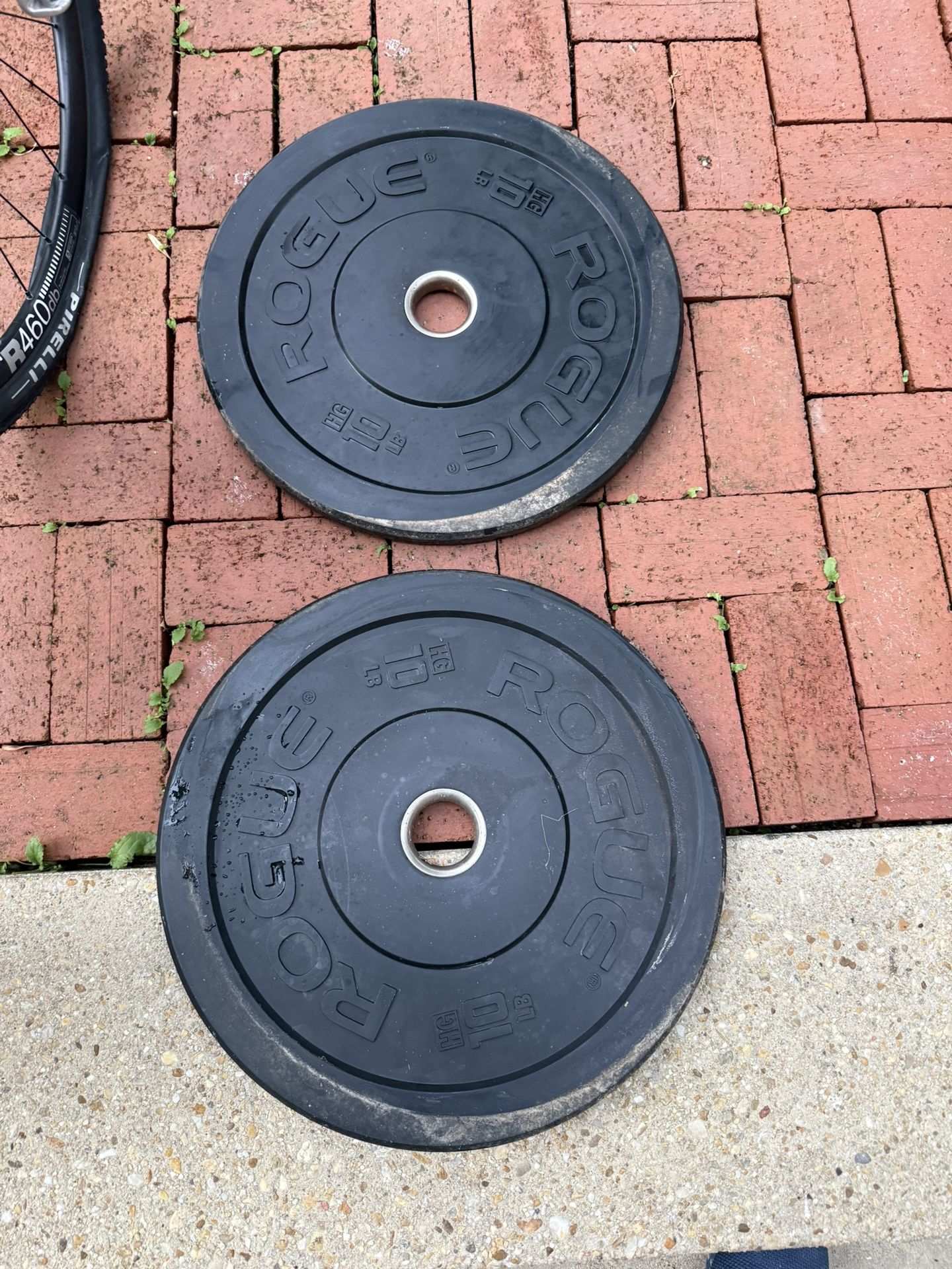 Rogue Fitness 10lb Bumper Plates 