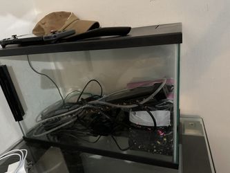 Small Fish Aquarium 