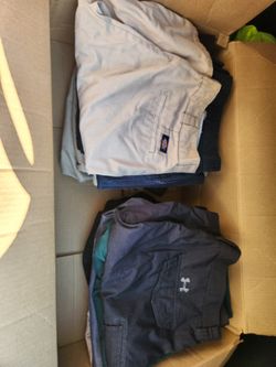 Dickies Shorts