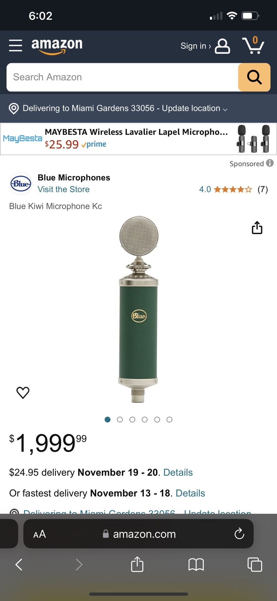 Blue Kiwi Microphone