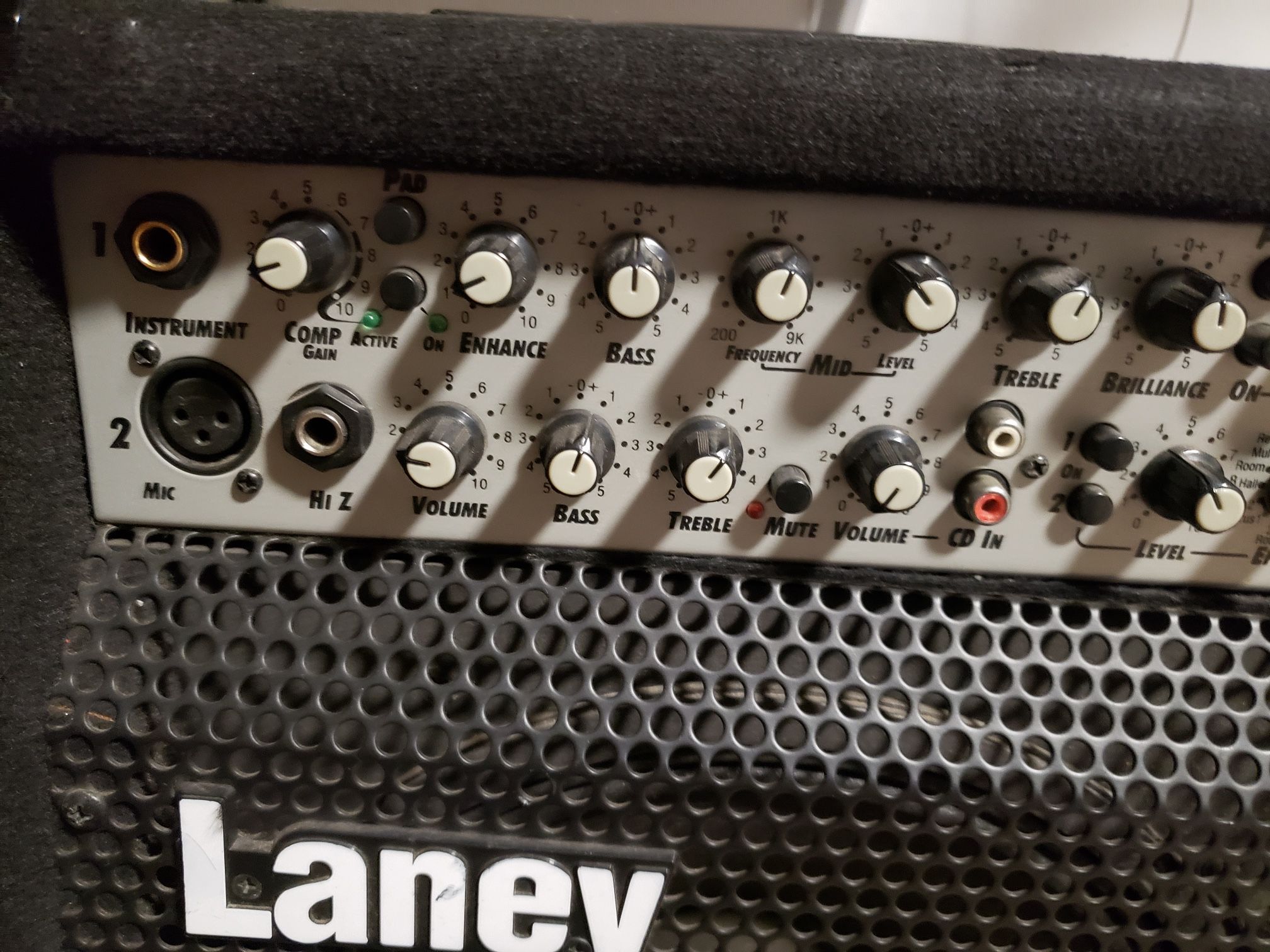Guitar Speaker And Vocals Amp