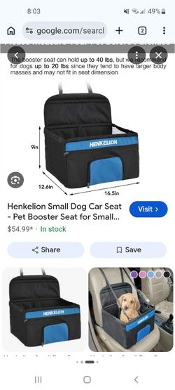 Dog car seat