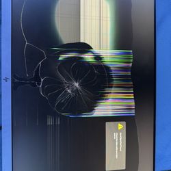 Broken Hp Monitor 