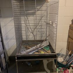 Bird Cage