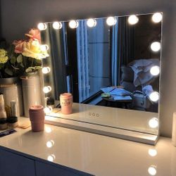 FENCHILIN 23in W X 19in  T Lighted Makeup Mirror with 15 Dimmable LED Bulbs 

