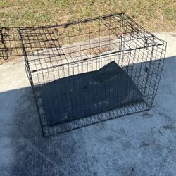 Dog Kennel