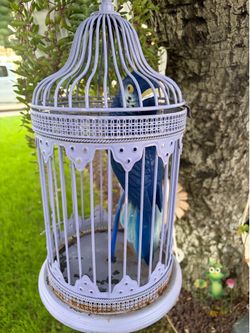 Bird cage