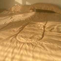 Gold color king comforter and 2 king size pillow cases with pillows