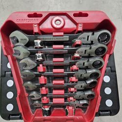 Craftsman Universal Ratcheting Felx Wrench Set 