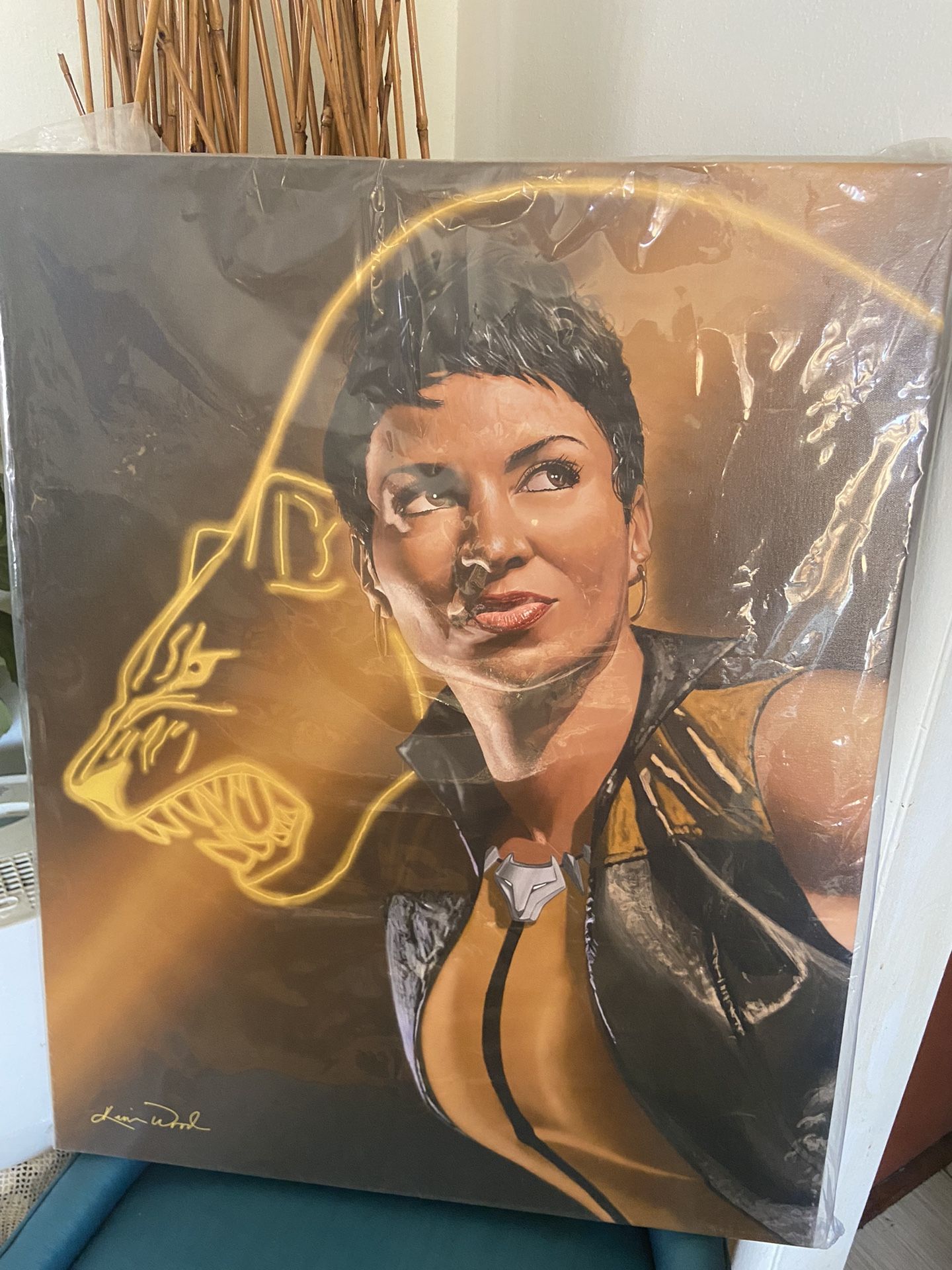 Kevin Woods Vixen – Brand New Wrapped in Plastic
