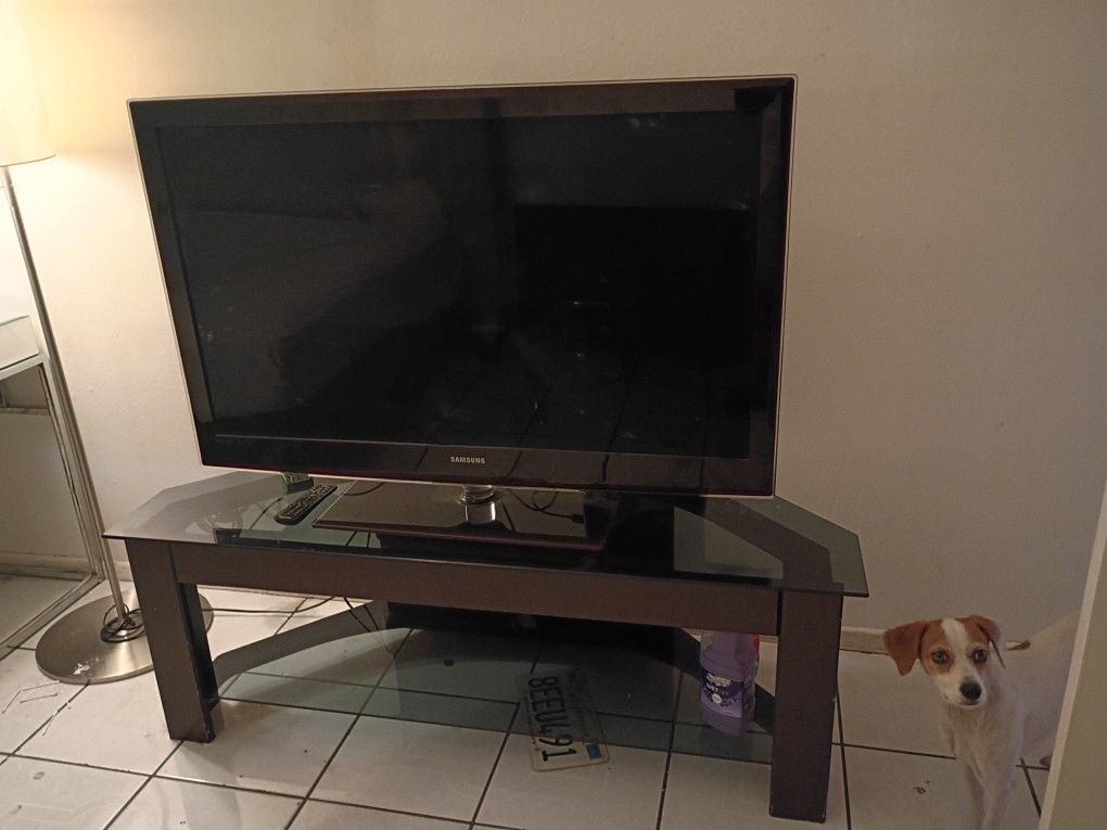 40" TV With Stand